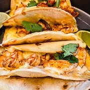 Four white corn tacos filled with melted Monterey Jack, spicy shrimp and cilantro