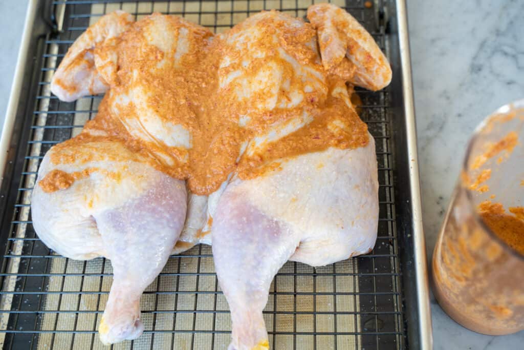 A spatchcock chicken resting on a baking rack with a spice rub over the breast meat that is inserted into a rimmed baking pan.