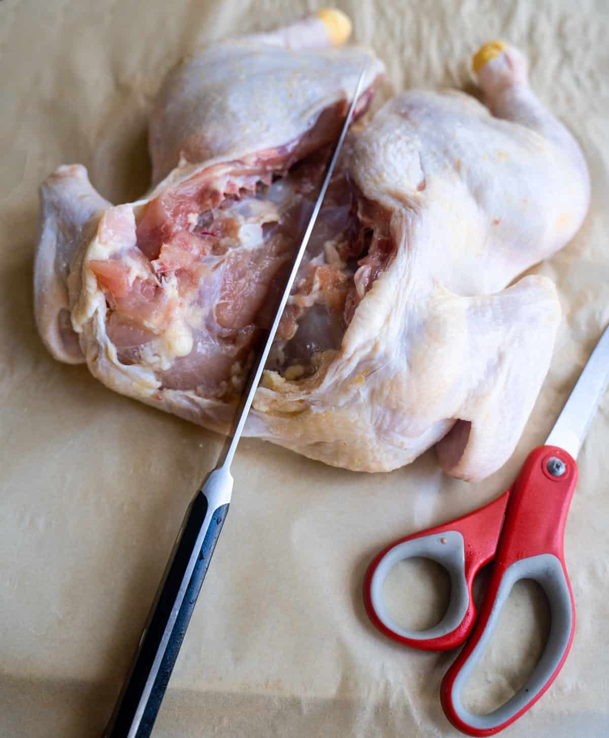 Step 3 of the step-by-step spatchcock chicken sunday supper recipe showing knife scoring down the sternum of the chicken breastbone with kitchen shears laying next to the bird sitting on the counter