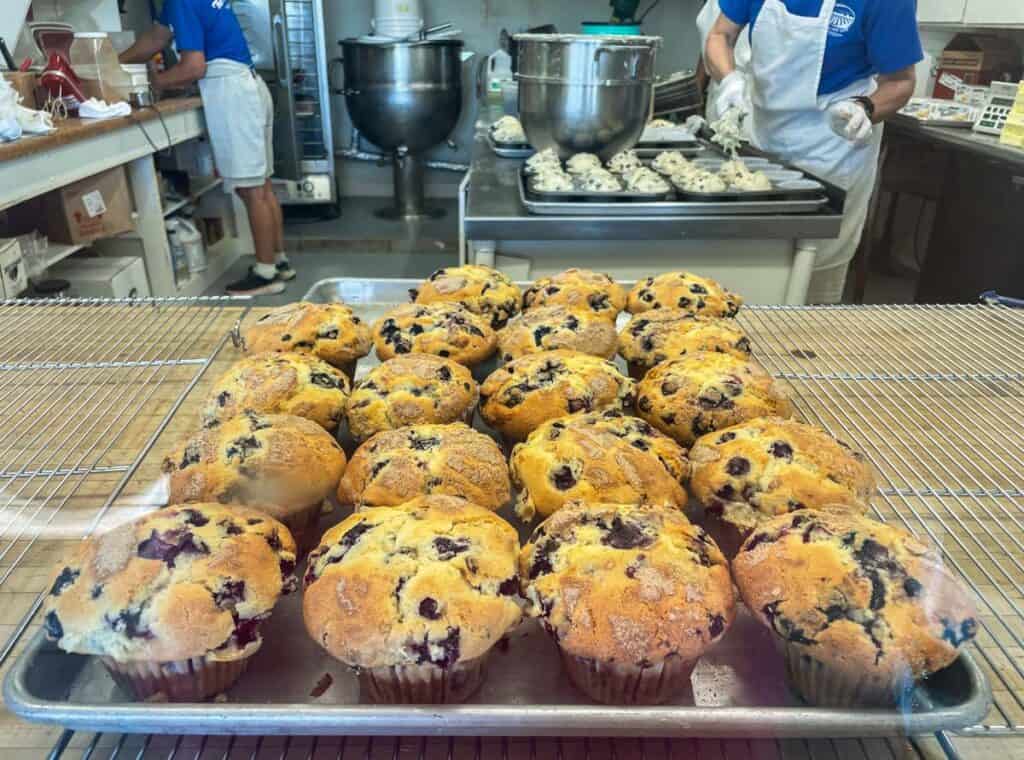 sheet pan filled with persimmon hill farm famous blueberry Thunder Muffins