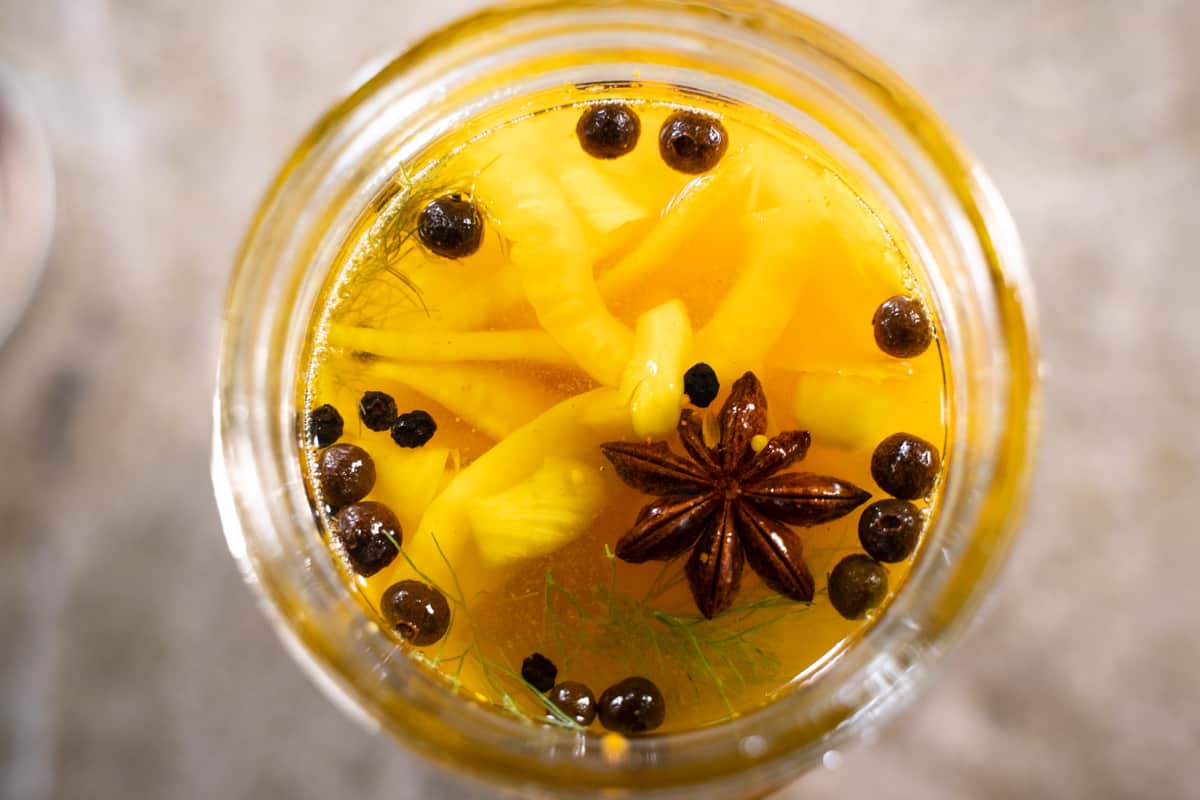 Pickled Fennel, star anise, peppercorns in an open mason jar