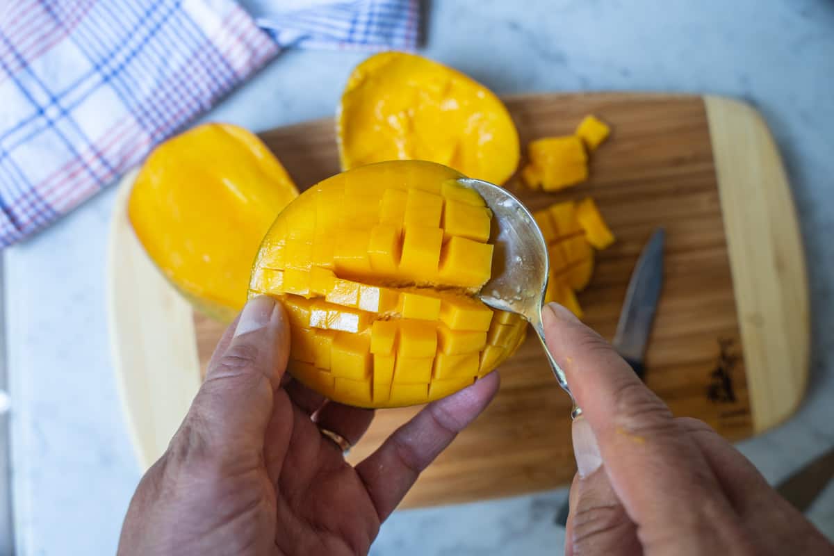 Mango fruit held in hand with spoon removing flesh from the skin