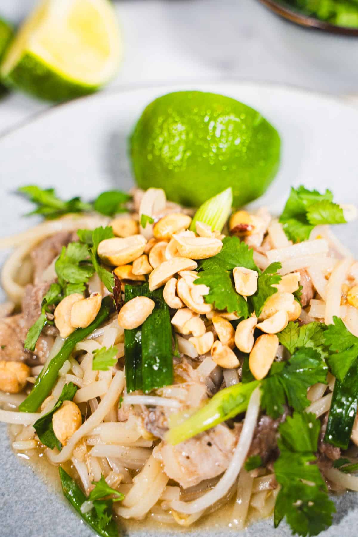 Slow cooker Pork Pad Thai using Thai tamarind paste on a plate garnished with dry roasted peanuts, cilantro and lime slices.