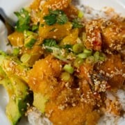 Panko shrimp bowl recipe with honey orange dressing on rice garnished with avocado slices, citrus salad and sesame seeds in a white bowl.