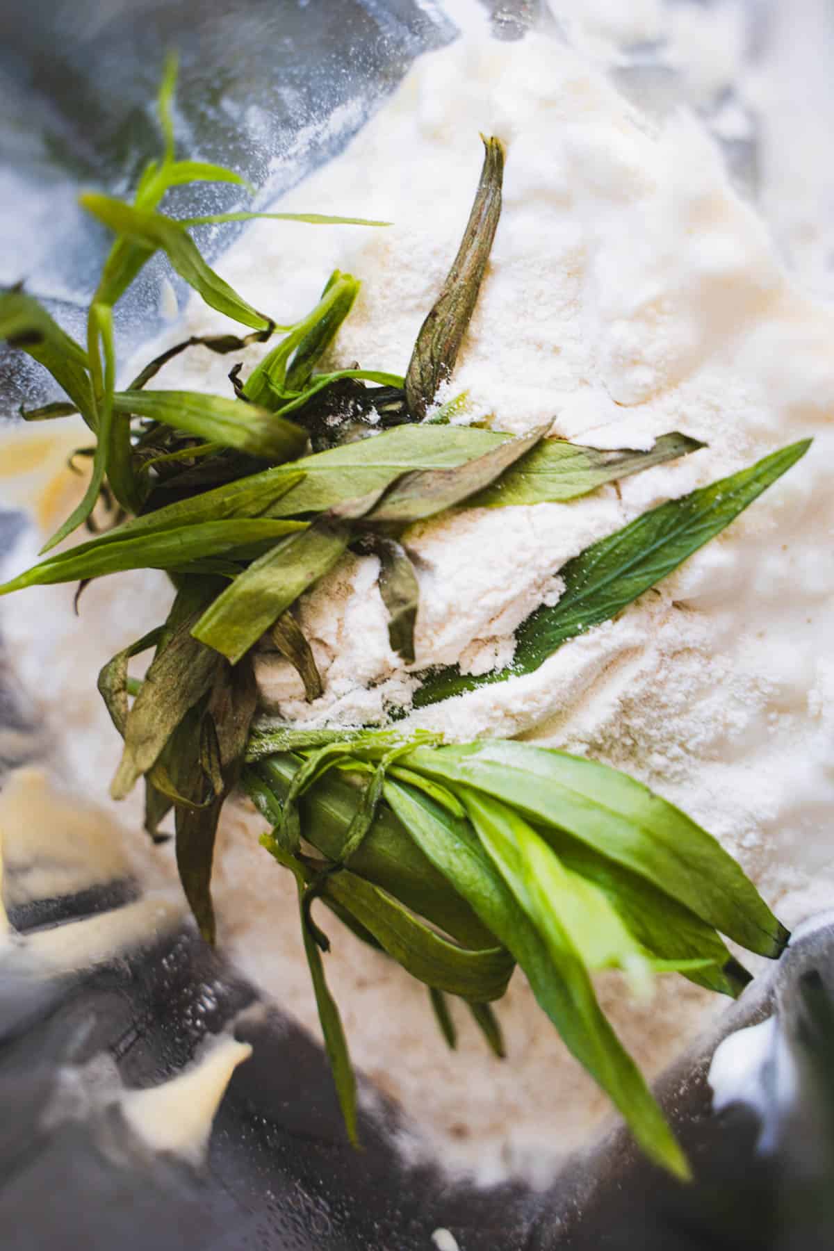 Cottage cheese, tarragon in a blender for the cottage cheese cheese sauce.
