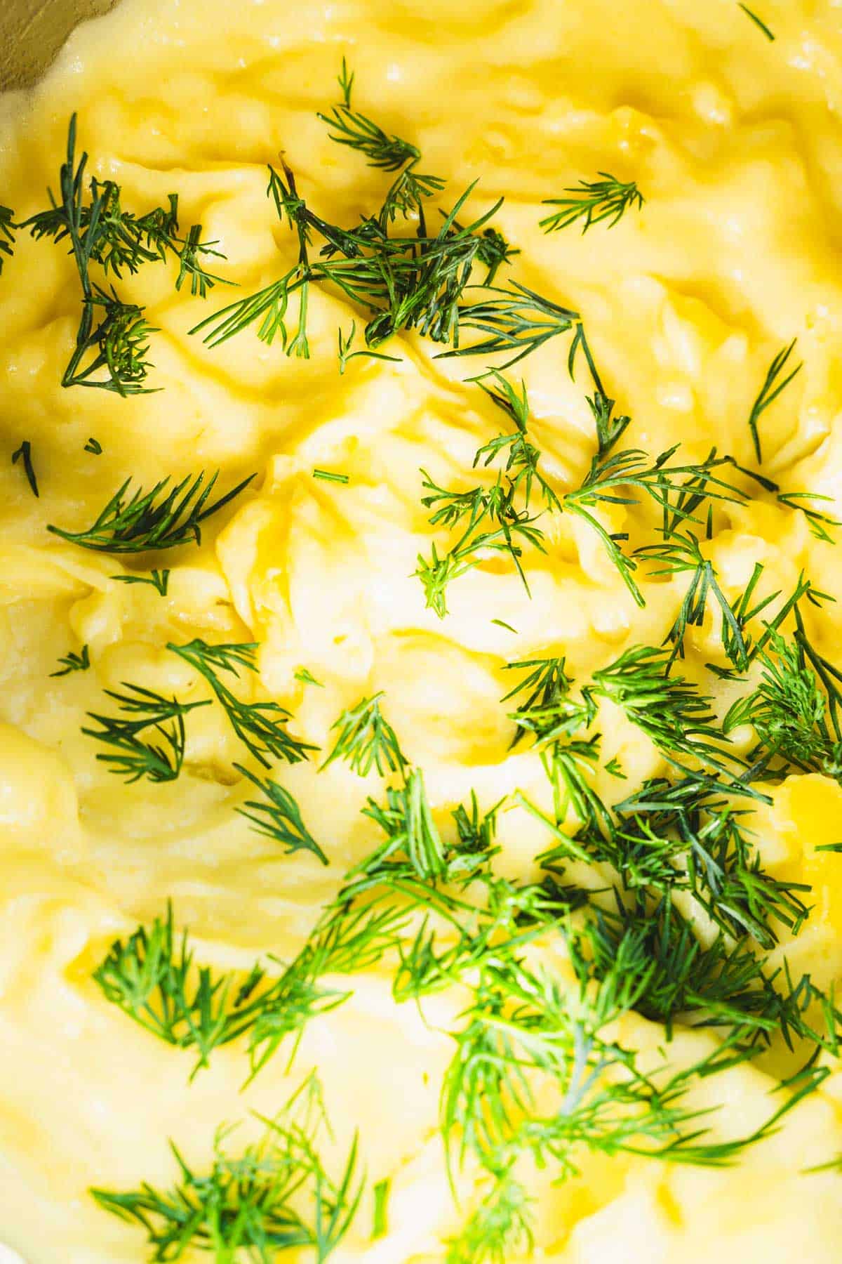 Dill and lemon zest mashed potatoes in a saucepan for seafood pot pie or Irish fisherman's pie.