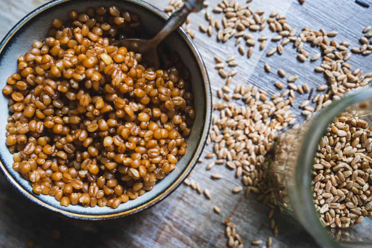 Cooked wheat berry in bowl with spoon and uncooked wheat berry grain in a glass jar.