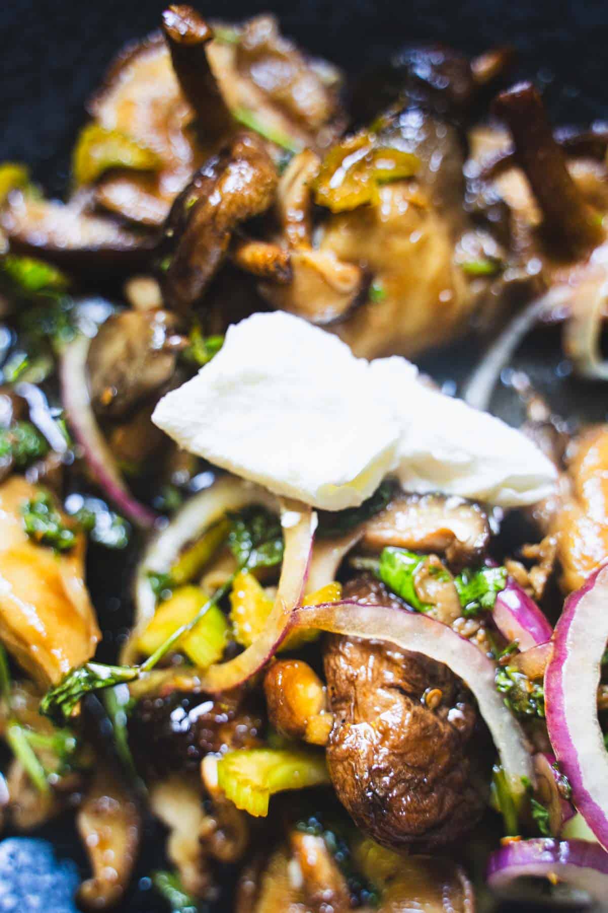 Mushroom salad with pickled mushrooms and roasted mushrooms garnished with red onion and yogurt.