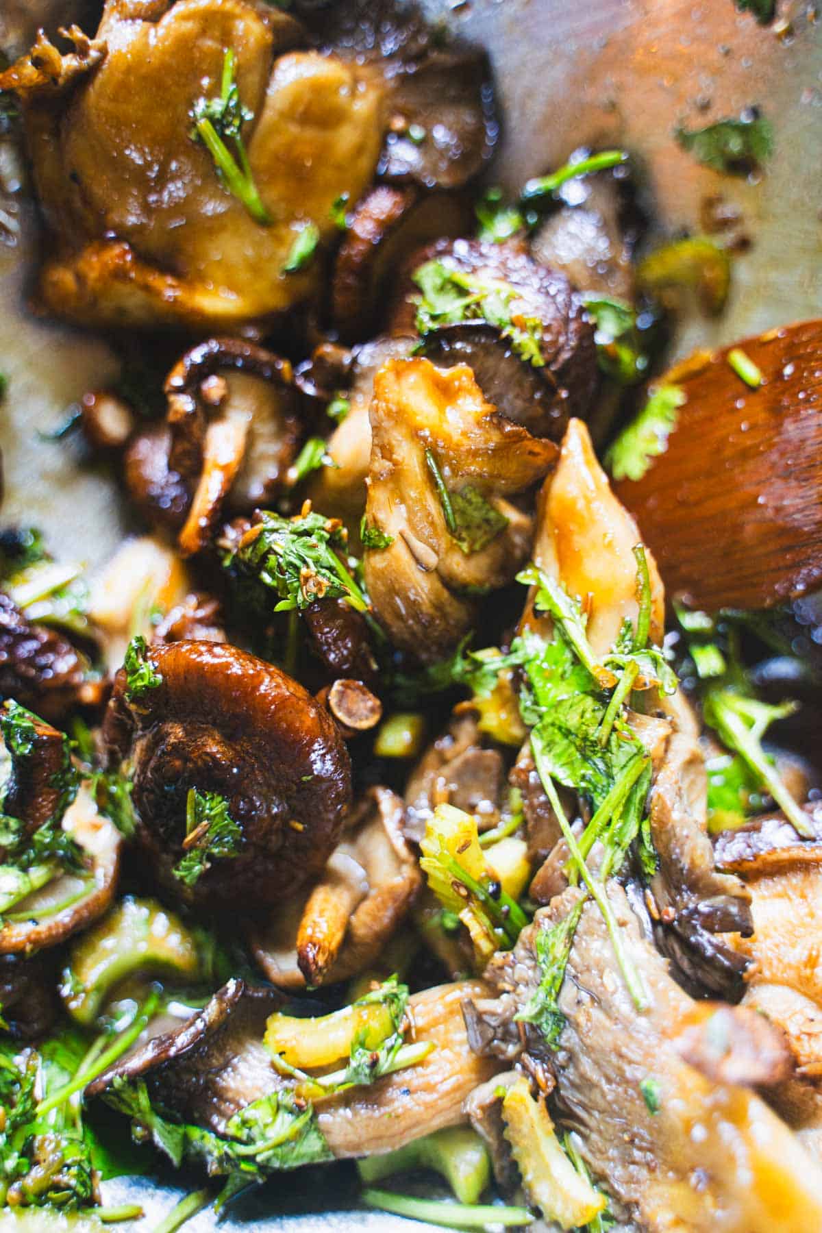 Roasted mushrooms tossed in a celery and cilantro vinaigrette.