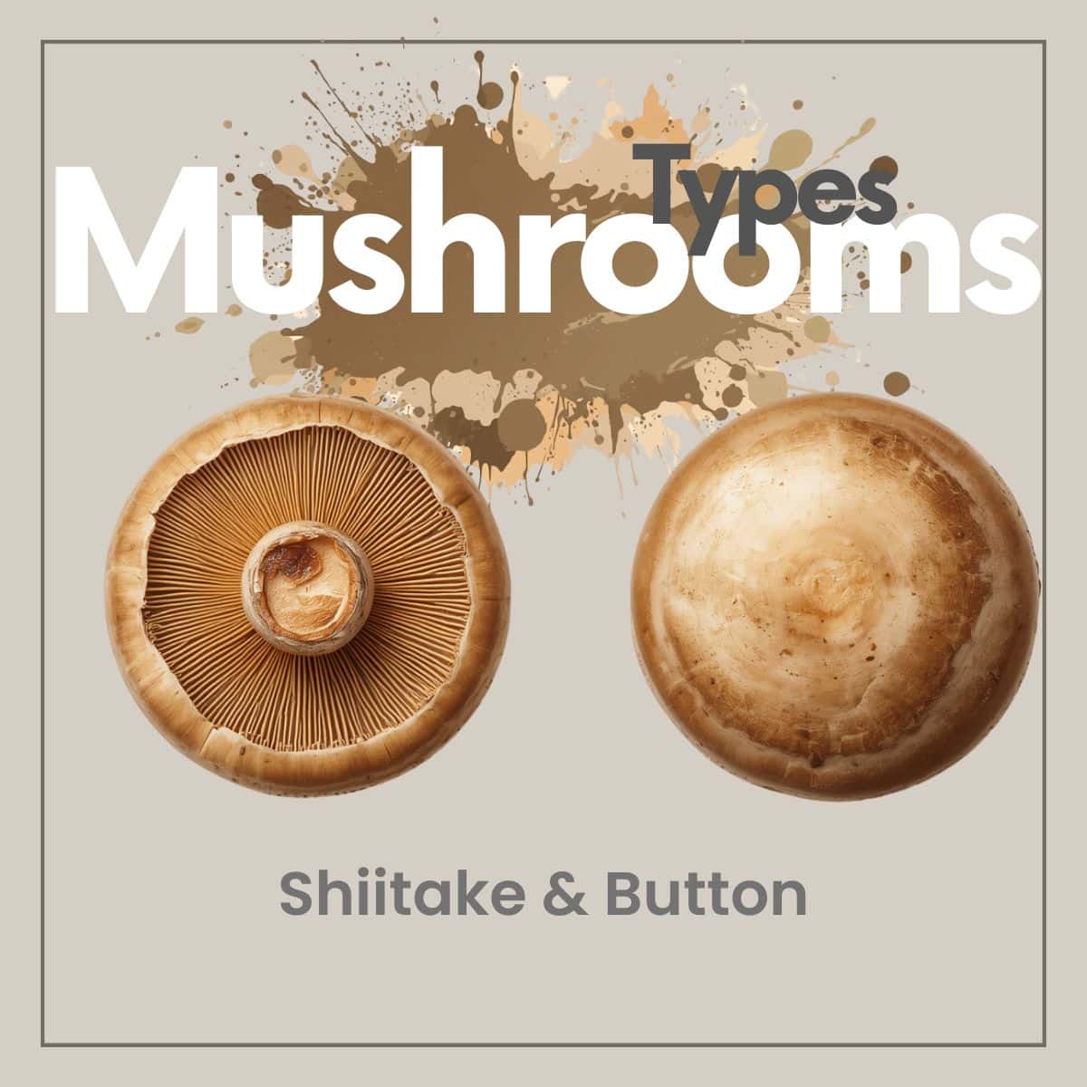 Shitake and Button Mushroom on tan background best mushrooms to make pickled mushrooms